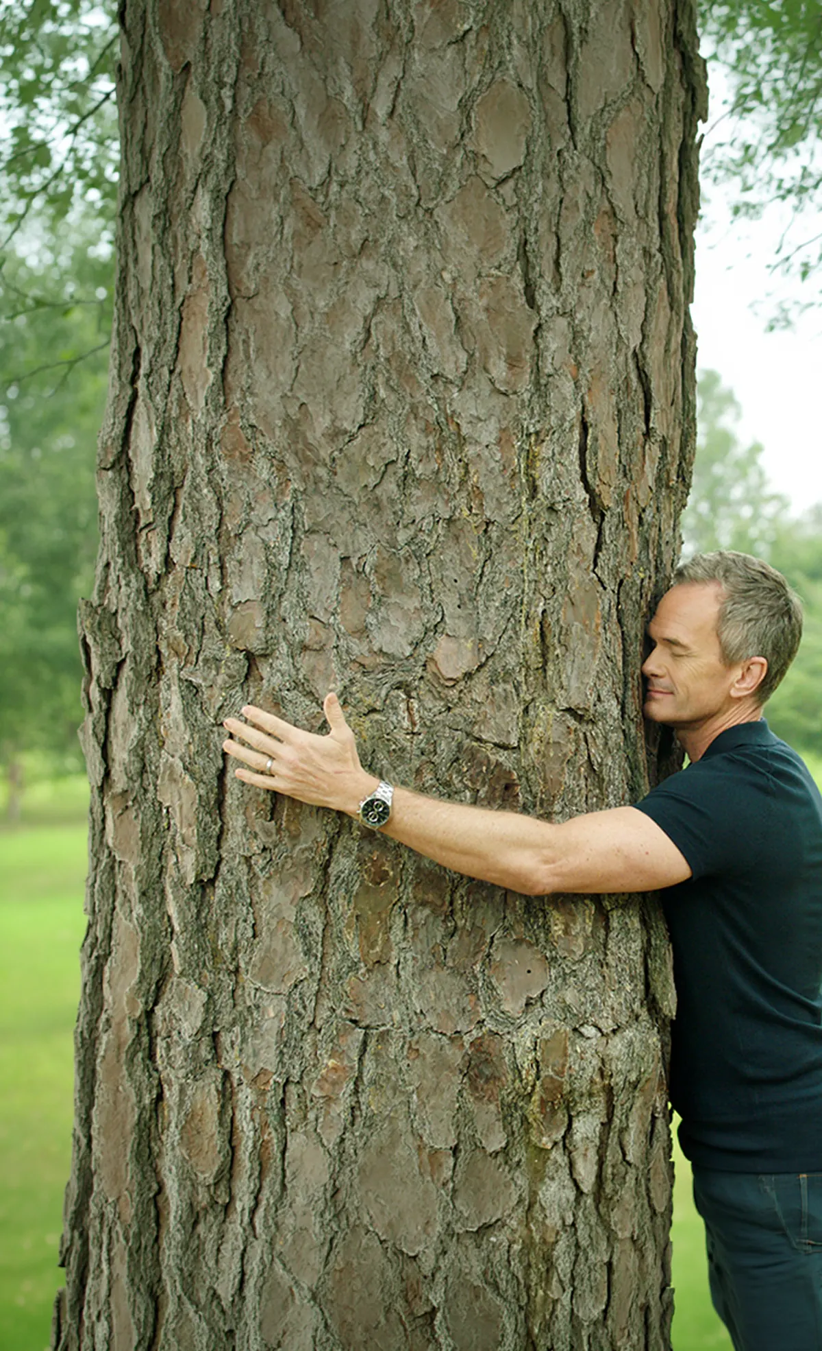 Neil Patrick Harris hugging a tree in a sunny meadow